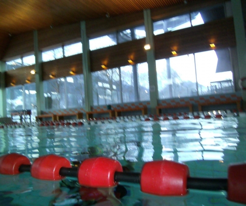 IMG-20190226-WA0007